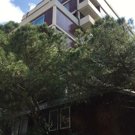 Veniceapartment公寓 Mestre Eksteriør bilde